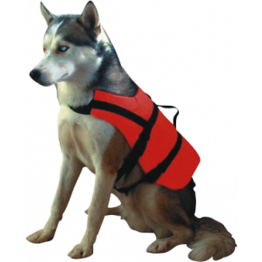 HARNAIS CHIEN - 8 KG